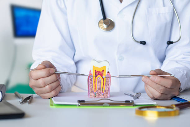 Best Emergency Dental Services Near Me  in Buckhall, VA